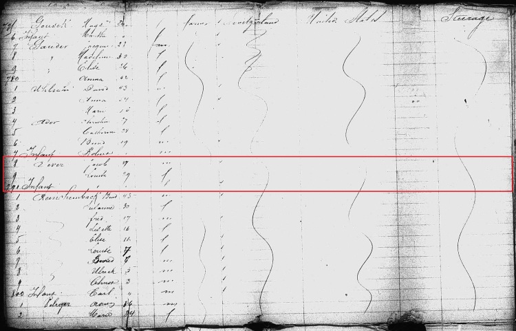 S.S. Labrador Passenger List, April 1881